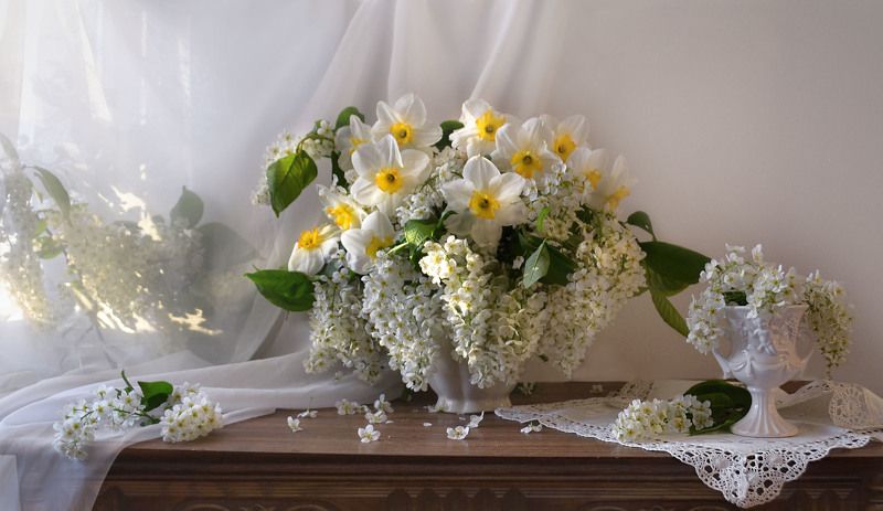 still life, натюрморт, цветы, фото натюрморт, весна, май, черёмуха, фарфор,  настроение, нарциссы Душистого мая волнующий час...photo preview