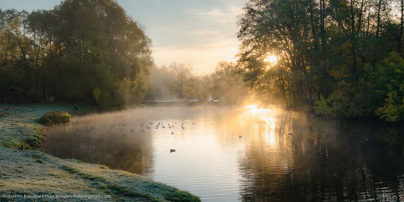 europe, kuzminki, moscou, moscow, russia, autumn, fog, gauze, haze, morning, nature, park, pond, sunrise, water, европа, кузьминки, москва, россия, шибаевский пруд, вода, восход, дымка, осень, парк, природа, пруд, туман, утро Морозное утроphoto preview