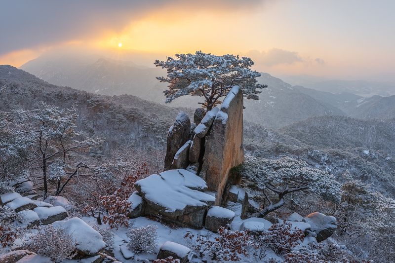 Winter oesolbongphoto preview