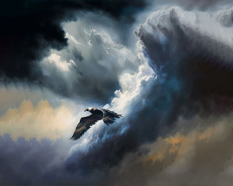 bird, sky, storm, clouds, danger a bird fighting a storm фото превью