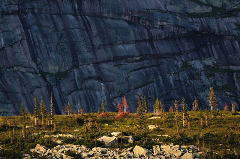 ергаки, скалы, пейзаж, landscape, саяны, сибирь Под стенами Спящего Саянаphoto preview