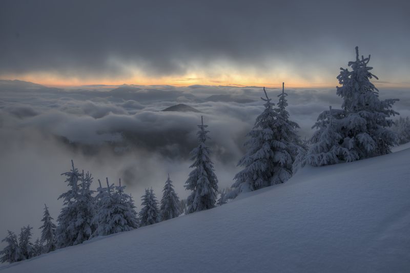 #slovakia #nikon #winter #manfrotto #malafatra  50/50photo preview