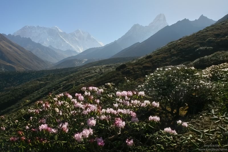 дмитр коваль, гималаи и крым вне треков, пейзаж как магия Гималайские светеньяphoto preview
