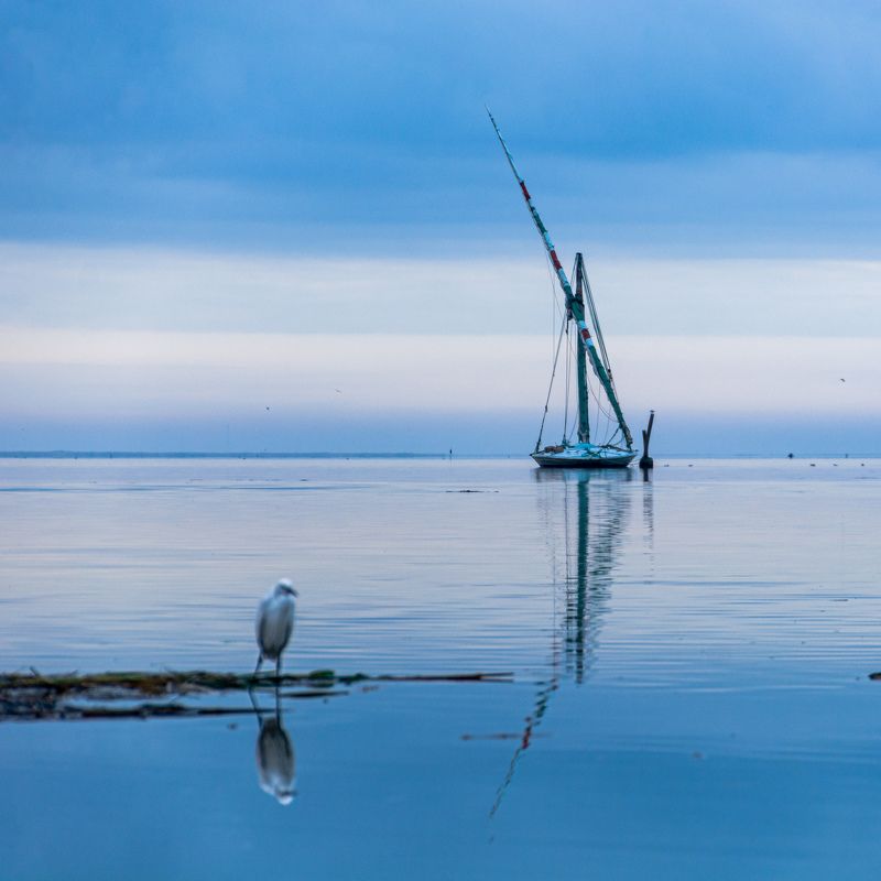 Burullus, Egyptphoto preview