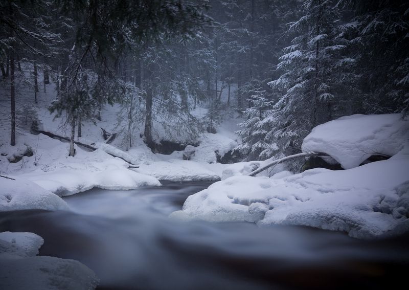 В мартеphoto preview