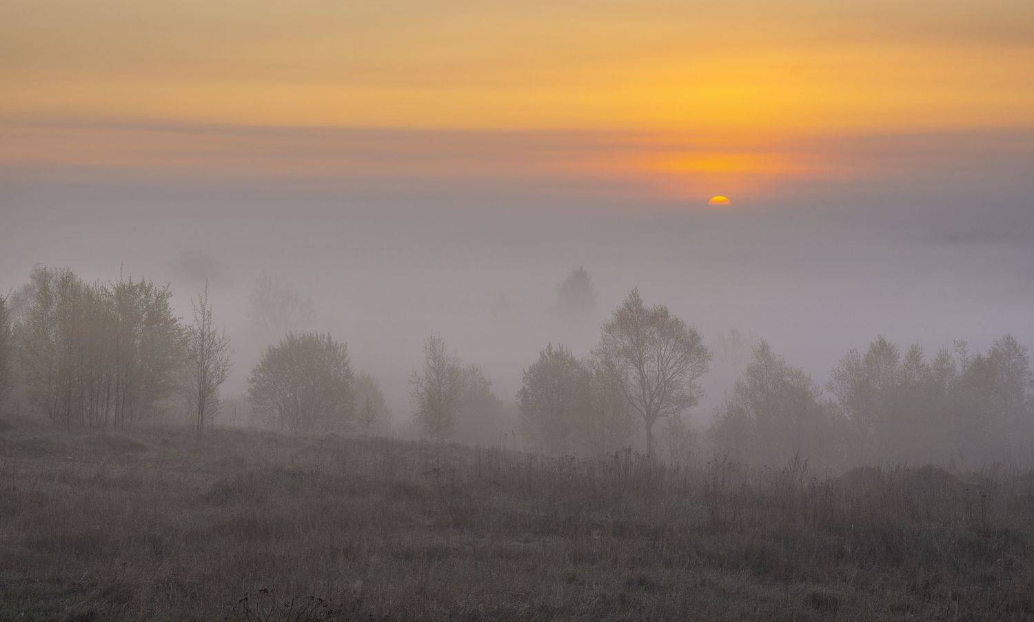 , Макеев Алексей