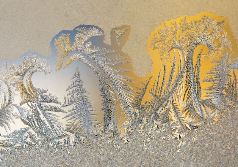 мороз, окно, стекло, узоры, птицы, деревья, дендриты Про птиц и деревьяphoto preview