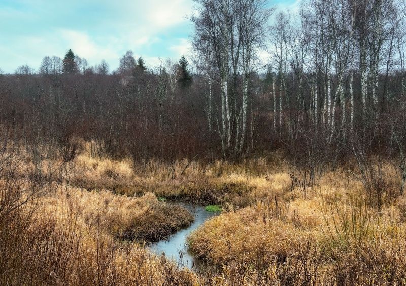 Ручей Катыш.photo preview