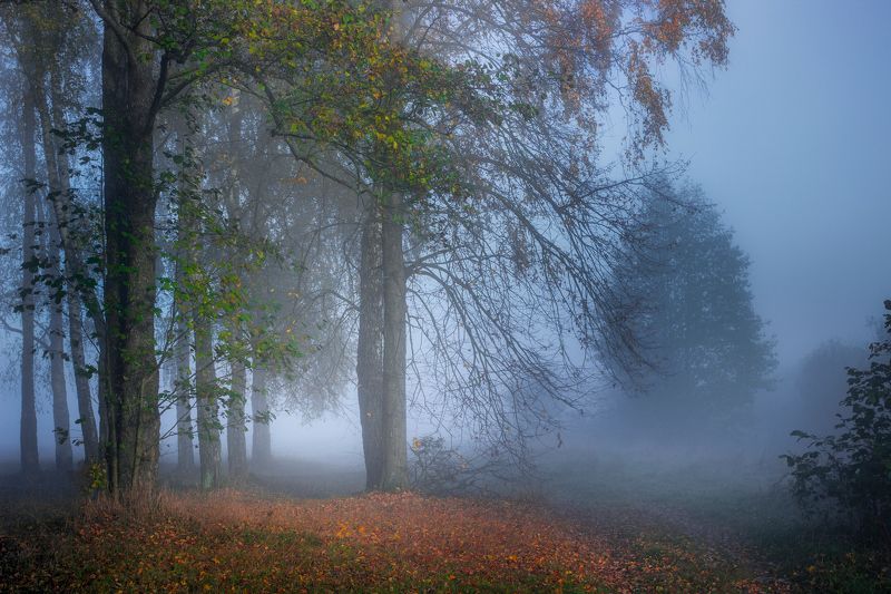 ********photo preview