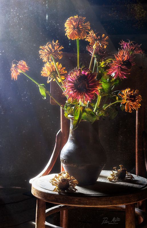 Отцвели мои цинии красные...photo preview