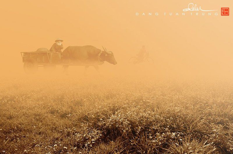 Dang Tuan Trung, Frank Dang Early morningphoto preview