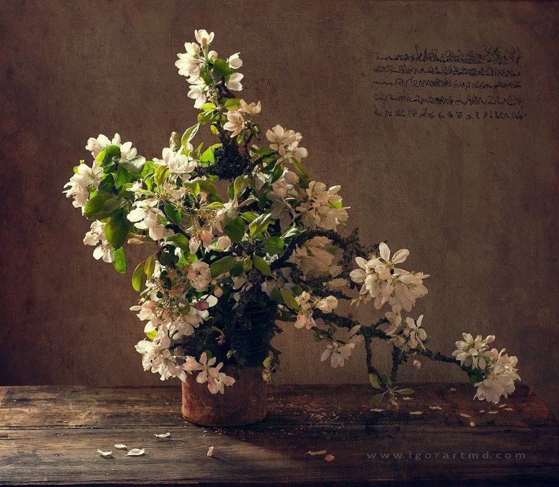 blooming applephoto preview