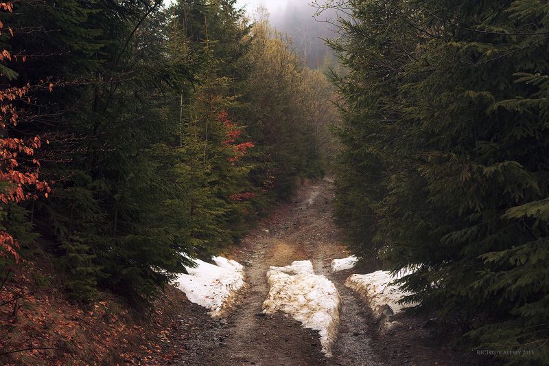 Украина, Карпаты, горы, лес, снег, горная дорога, туман Первые признаки снегаphoto preview