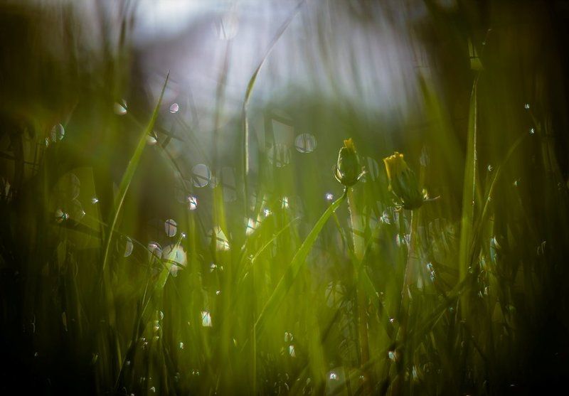 Он и она...photo preview