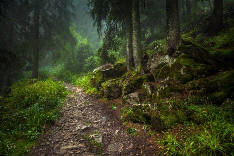 пейзаж Дорога домойphoto preview