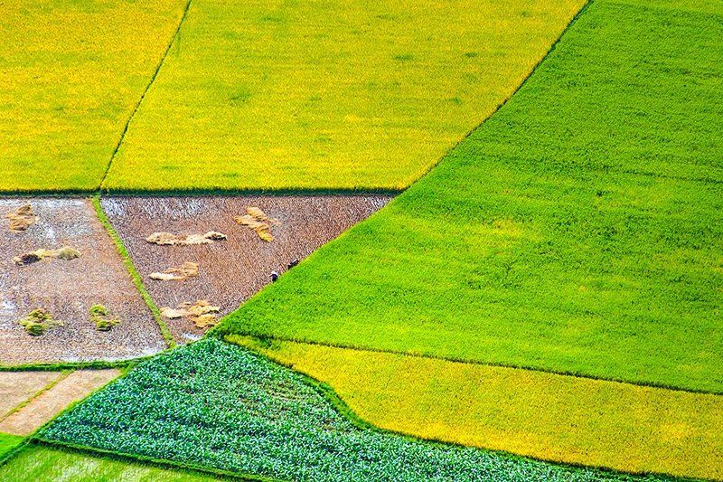 Mầu ấm no.photo preview