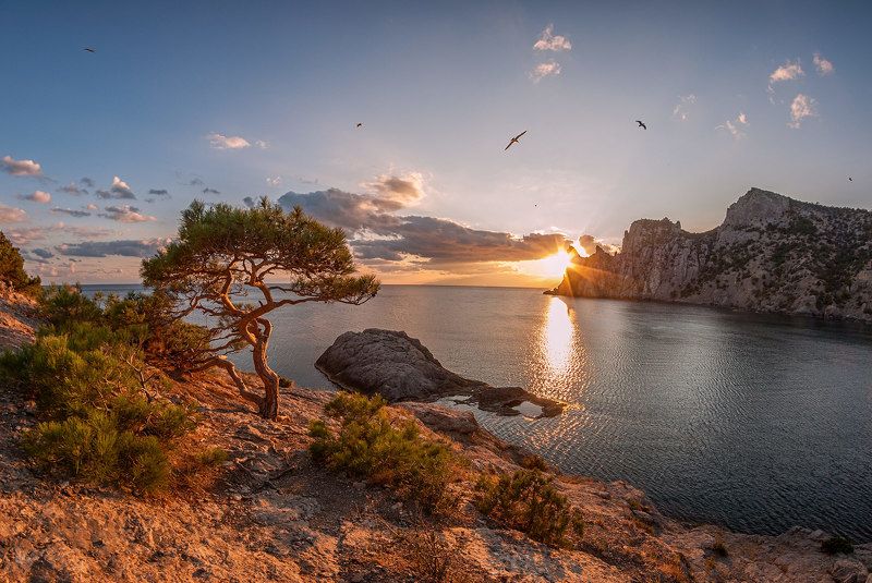 Голубая бухта, Закат, Крым, Новый Свет, Солнце, Чайки Закат у моря.photo preview