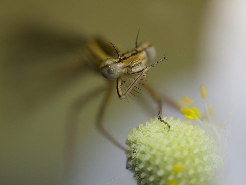 Пальчики оближешь!photo preview