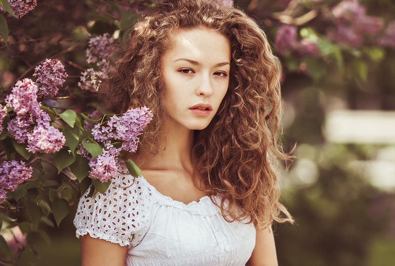 Сиреньphoto preview