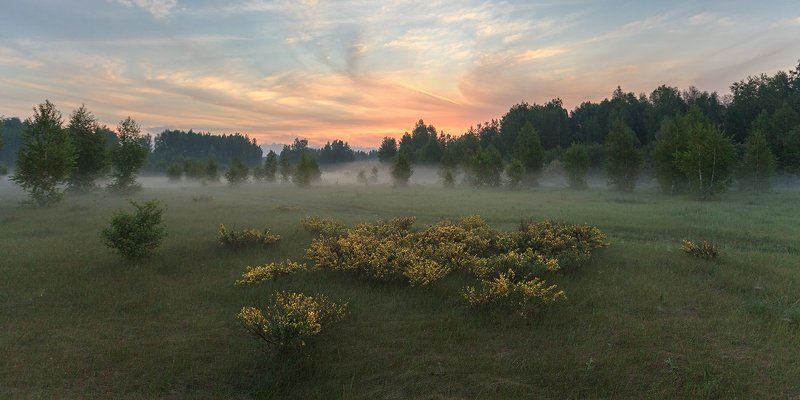 Прощальное утро весныphoto preview