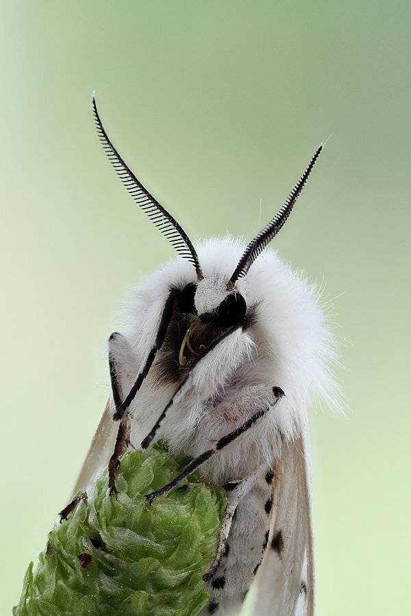 , Сергей Таланов
