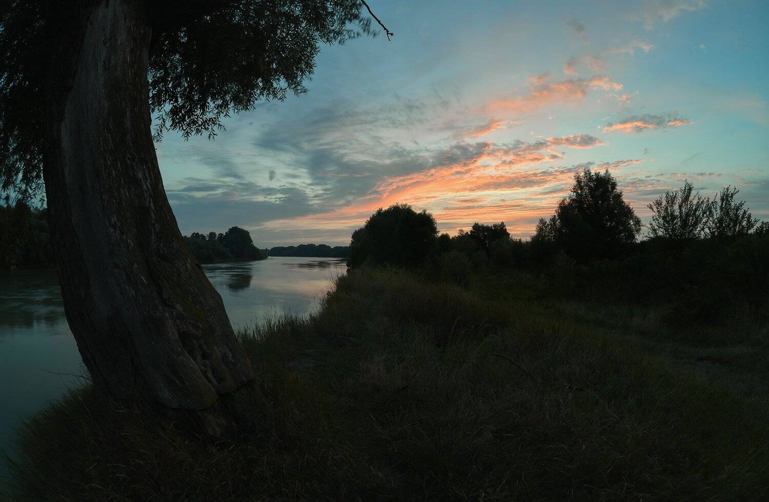 Вечерняя заря на Протоке. Автор: Alexander Plekhanov Вечерняя заря, Река Протока, У старой ивы, Alexander Plekhanov