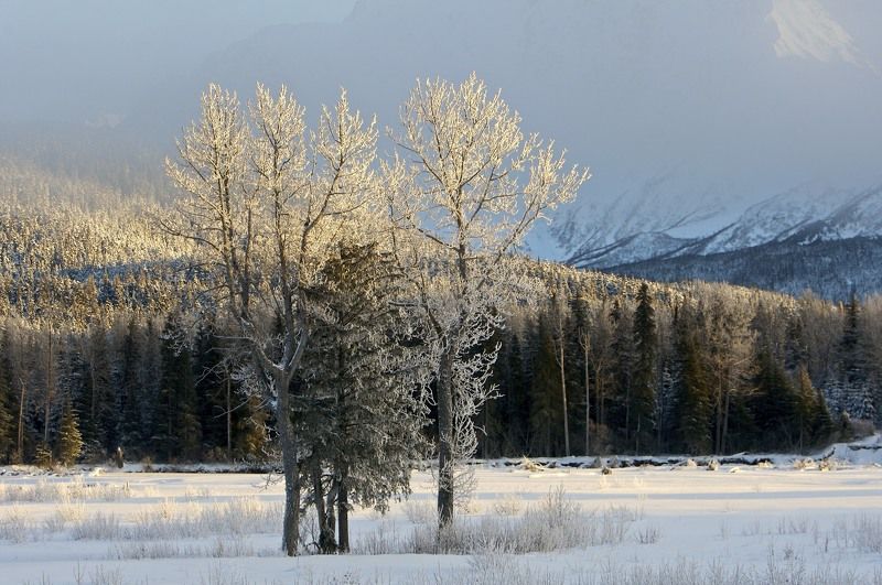 Аляска.photo preview