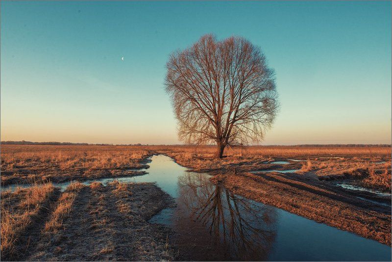 россия, рязанская область, пощупово, весна, пейзаж, природа, поле, дерево,  Веснаphoto preview