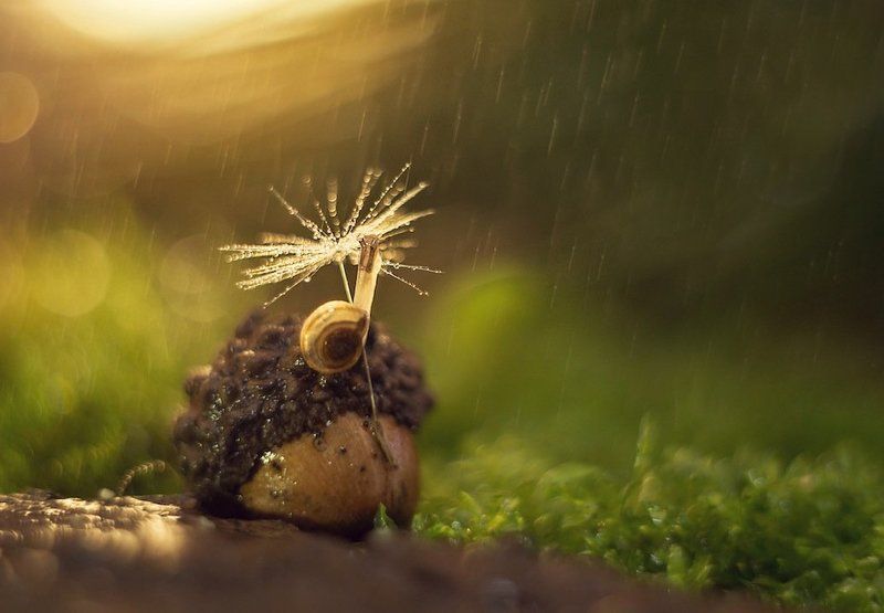 Под  зонтомphoto preview