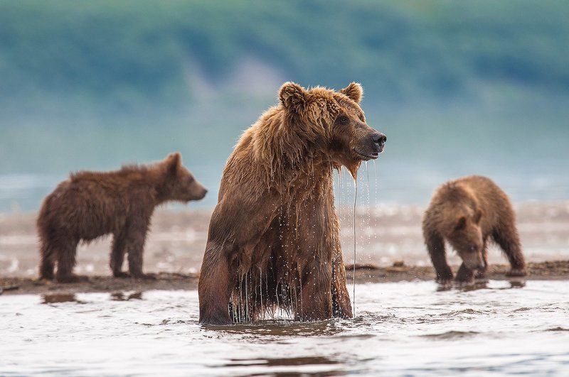 Потерпите , детки ! Сейчас точно поймаю !photo preview