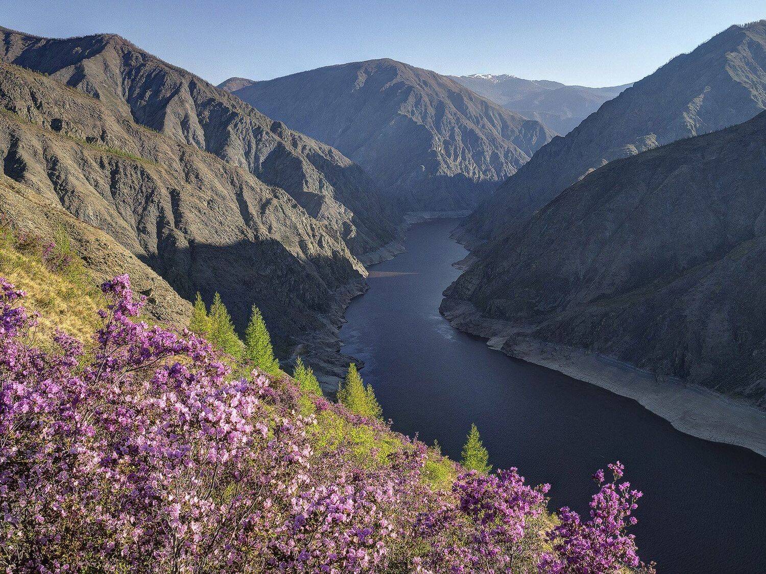 , Лещёнок Александр