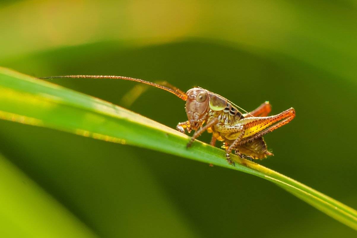 На солнышке. Автор: Игорь , Игорь