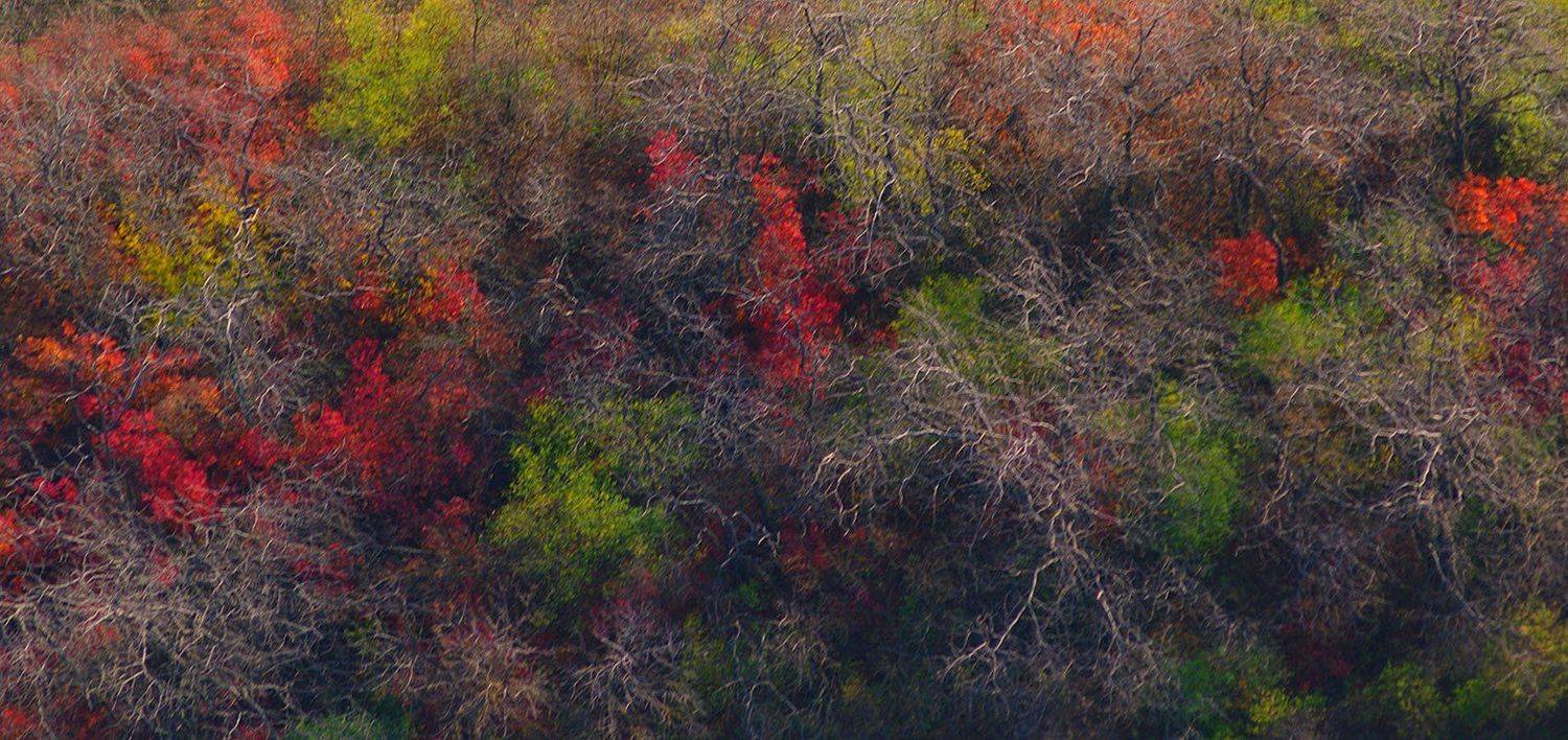 , Сидоренко Алексей