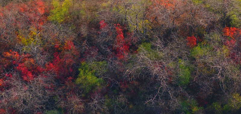 Кляксыphoto preview