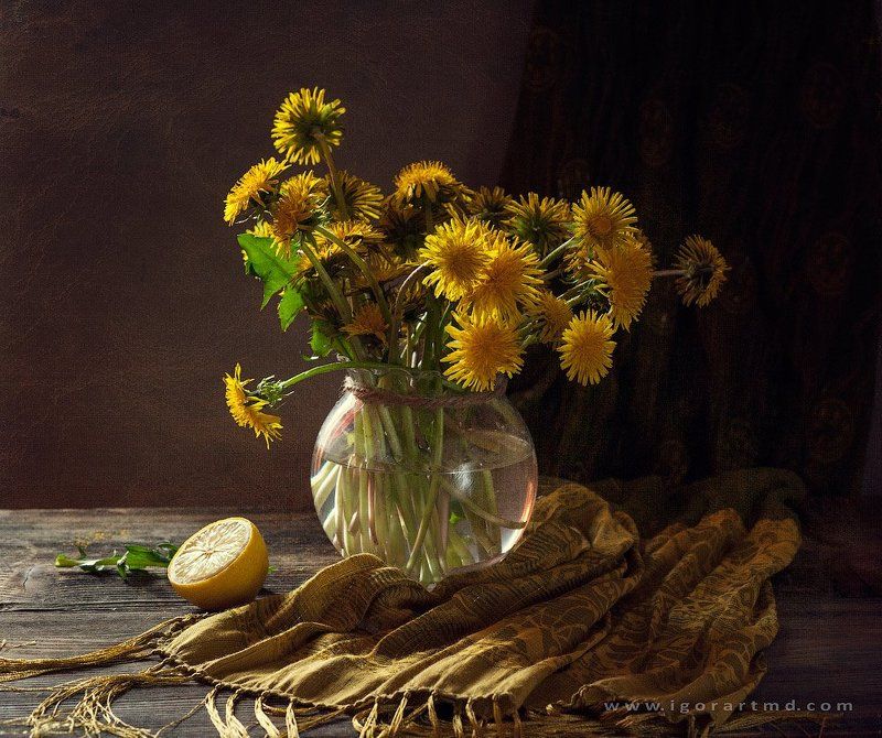 Dandelions flowersphoto preview