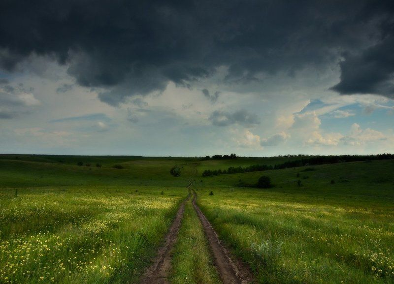 Разгулялась в поле непогодаphoto preview