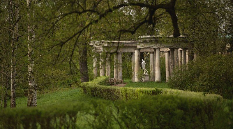 весна, май, павловский парк, утро, питер, павловск, павловский, павловский парк,санкт-петербург,  городской пейзаж Майским утром в Павловскеphoto preview