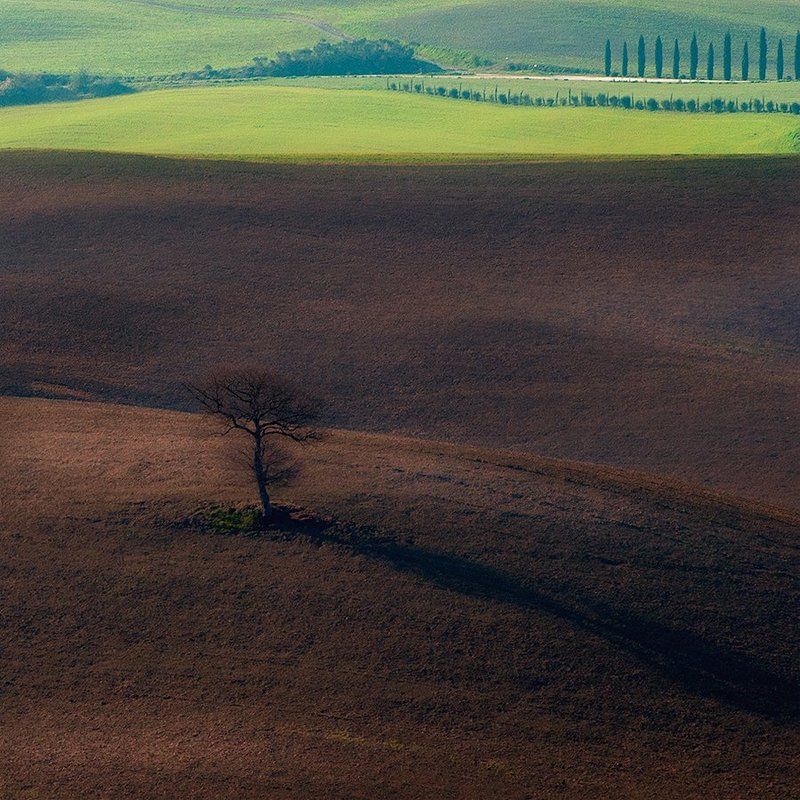 Шоколад с Фисташкамиphoto preview