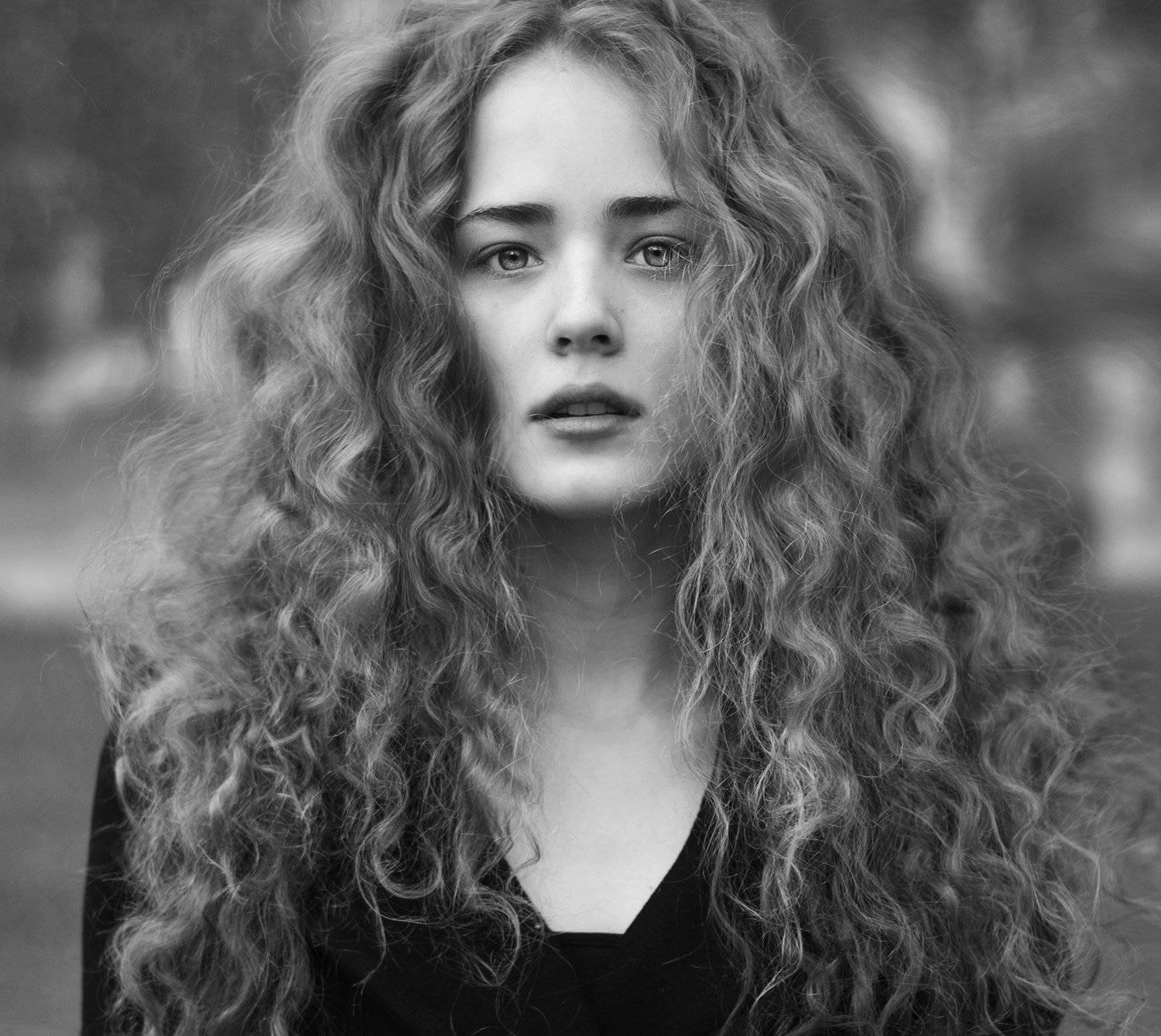 Автор: Осипова Лариса , Осипова Лариса