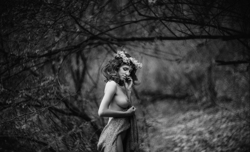 Амелиphoto preview