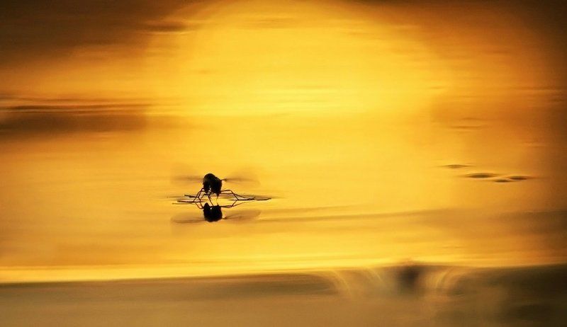 Гидропланphoto preview