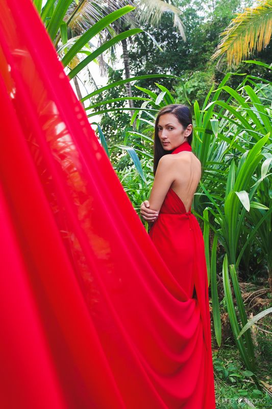 путешествие, свадьба, невеста, образ, девушка, платье, елен цай, elen tsay, бали, wedding, счастьее, нежность, любовь, азиатка, грация, красота, водопад, культура, традиции, красный, ветер, asia photo preview