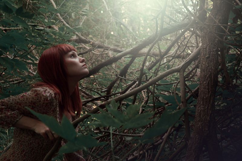 Elf, Forest, Light, Old tree, Portrait, Summer Lightsphoto preview