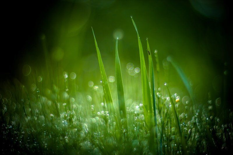 Встречая новый день...photo preview