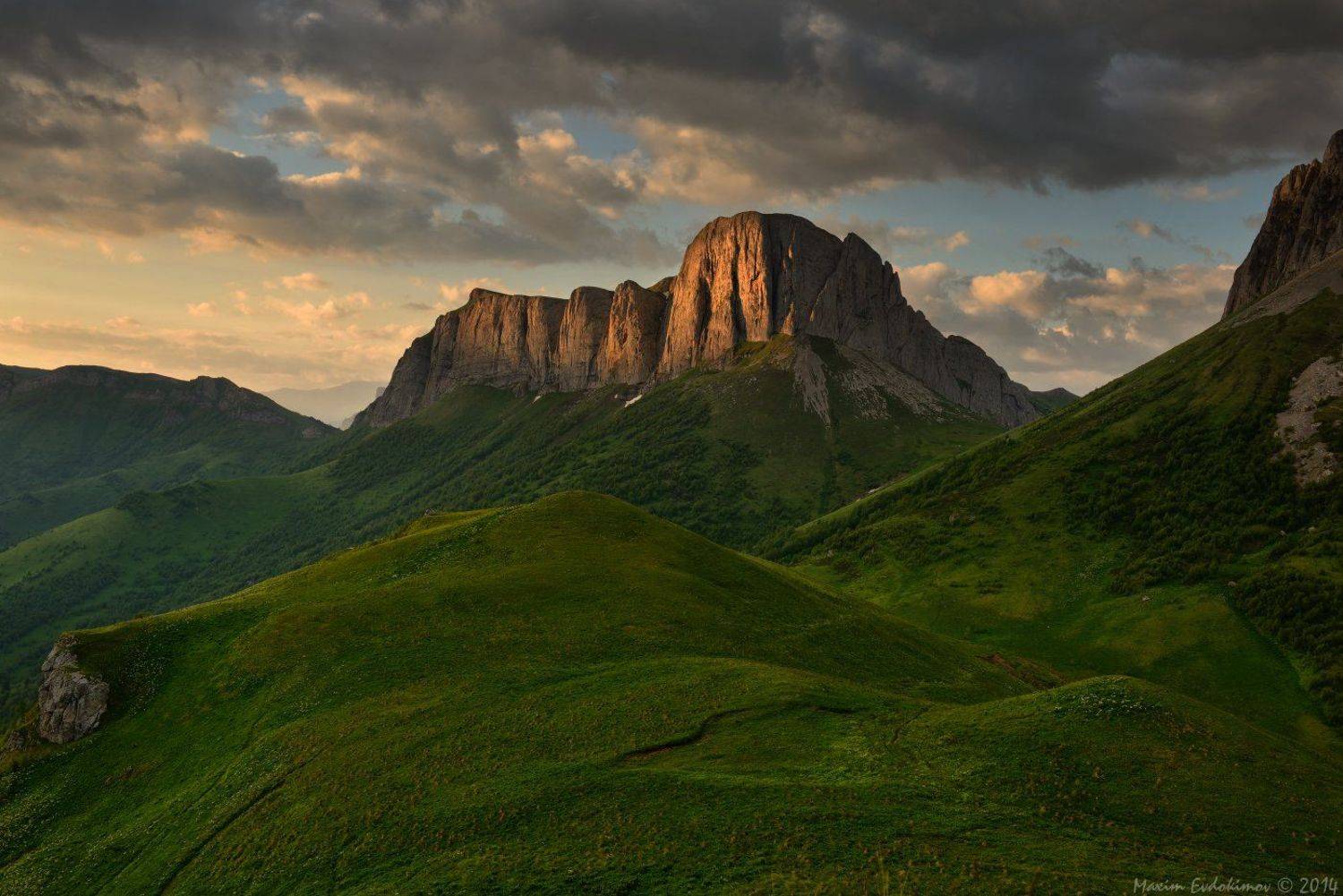 , Максим Евдокимов