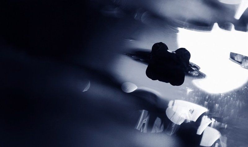 Лунная абстракцияphoto preview