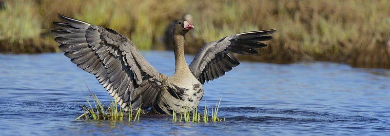 На водеphoto preview