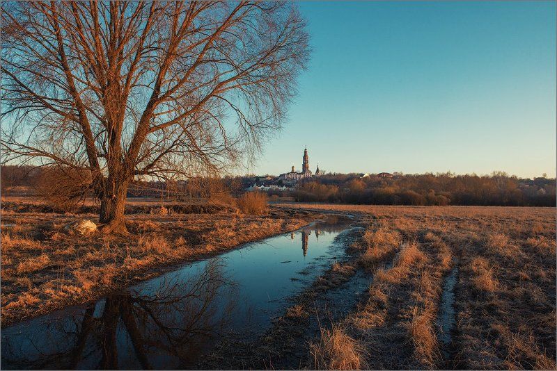 россия, рязанская область, пощупово, весна, пейзаж, природа, поле, дерево,  photo preview