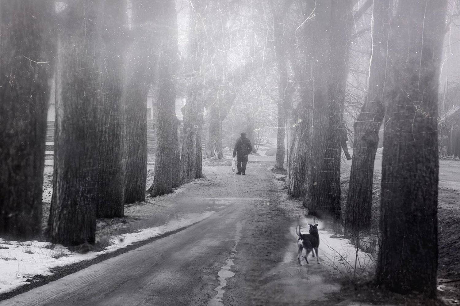 , Анна Кудрявцева