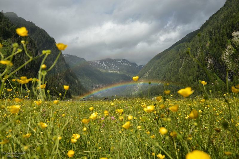 австрия, национальный парк высокий тауэрн, hohe tauern, alps, цветы, радуга, горы, лето в горах Радужное лето в Высоком Тауэрнеphoto preview
